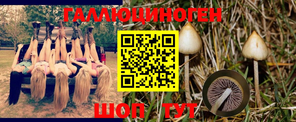 Воткинск  Галлюциногенные грибы ЛСД  Вход с VPN  Галлюциногенные грибы мухоморы 